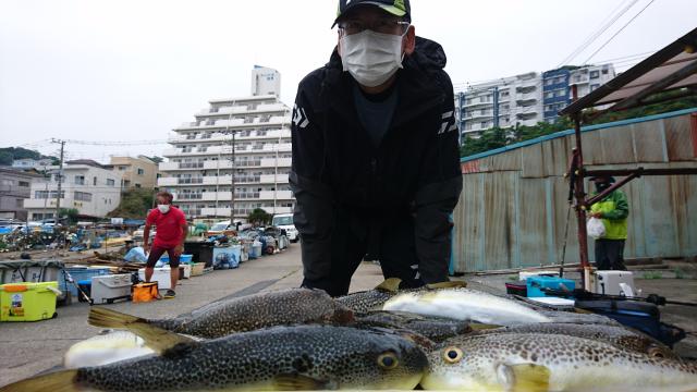 ふぐ釣り好調です！！1枚目