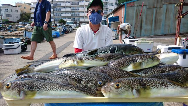 ふぐ釣り好調です！！1枚目