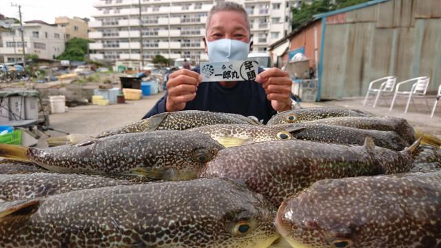 ふぐ釣り絶好調です！！1枚目