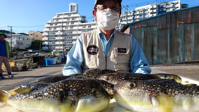 ふぐ釣り好調です 釣り船 鴨居大室 一郎丸 東京湾 神奈川県 横須賀 三浦