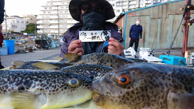 ふぐ釣り好調です！！1枚目
