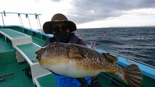 ふぐ釣り好調です！！2枚目