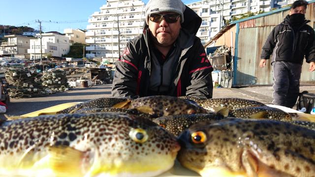 ふぐ釣り好調です！！1枚目