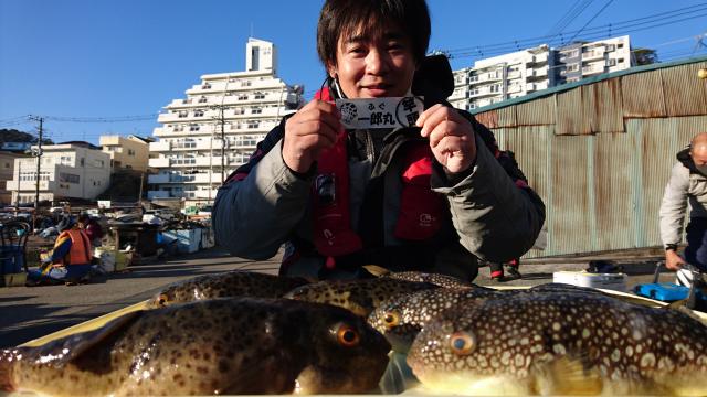 ふぐ釣り好調です！！1枚目
