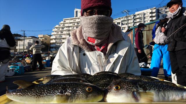 ふぐ釣り好調です！！1枚目