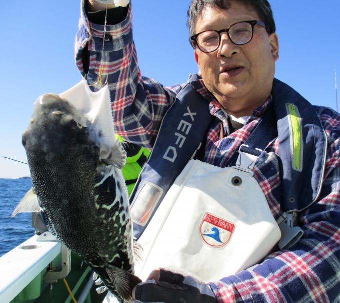 とらふぐ釣り1枚目