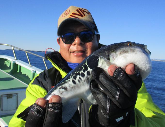 とらふぐ釣り4枚目