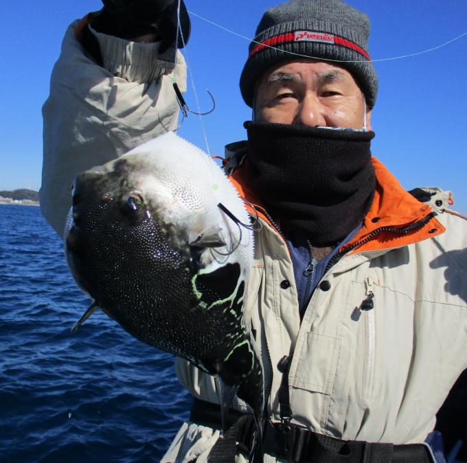 とらふぐ釣り5枚目