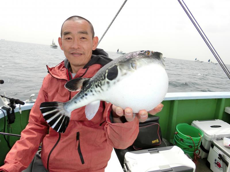 トラフグ釣り 釣り船 鴨居大室 一郎丸 東京湾 神奈川県 横須賀 三浦