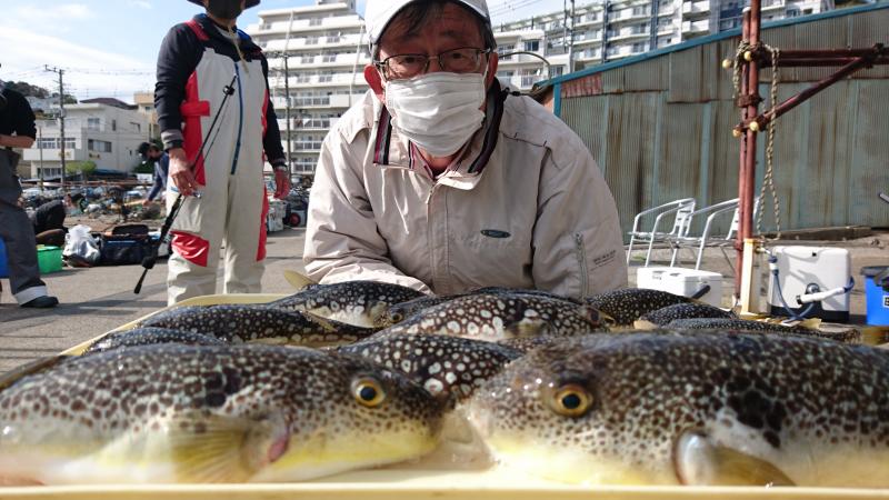 ふぐ釣り好調です！！1枚目