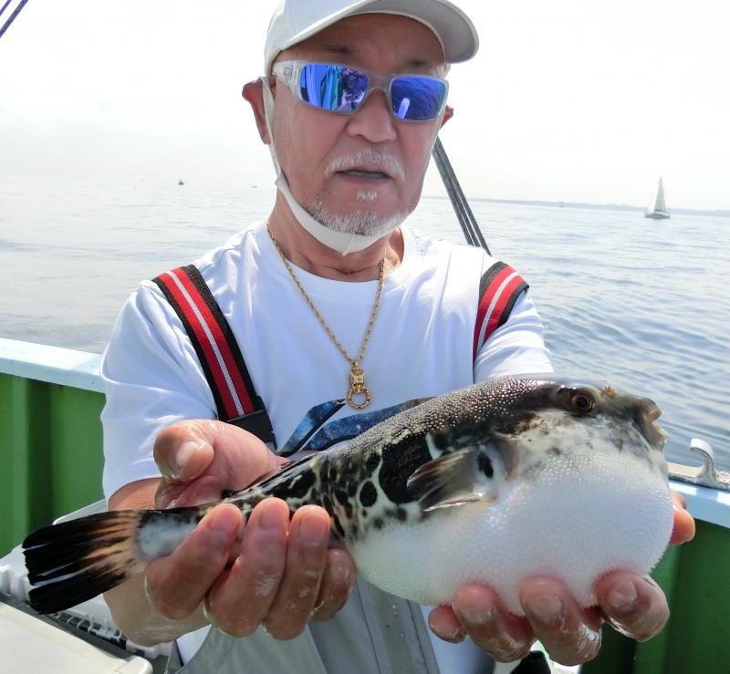 とらふぐ釣り1枚目