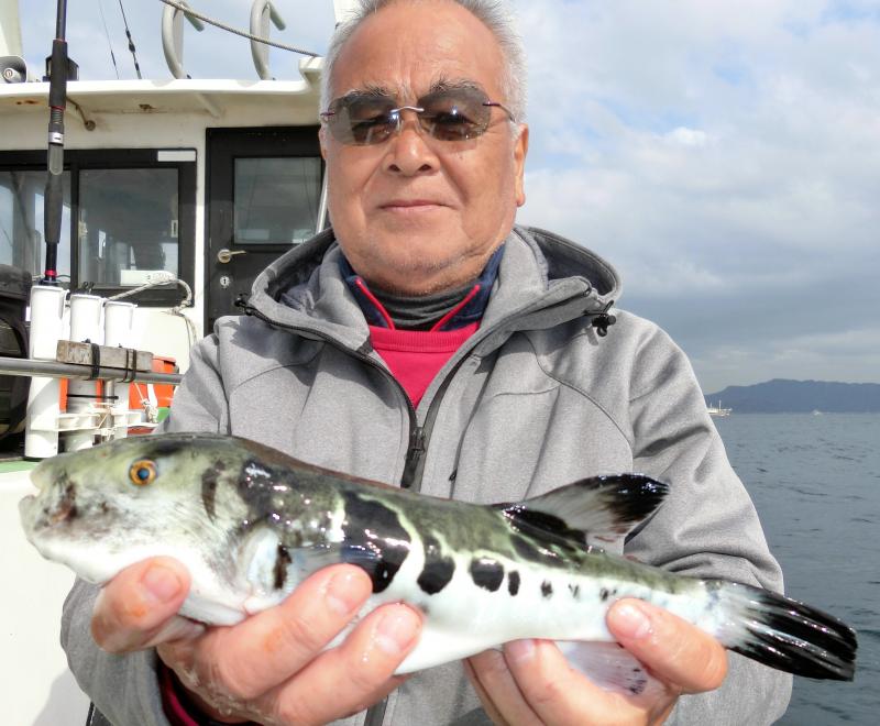 とらふぐ釣り2枚目