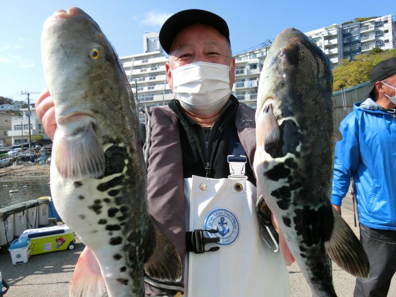 とらふぐ釣り1枚目