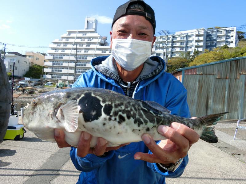とらふぐ釣り2枚目