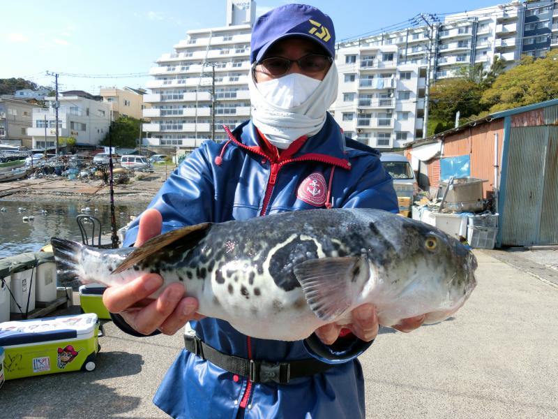 とらふぐ釣り3枚目