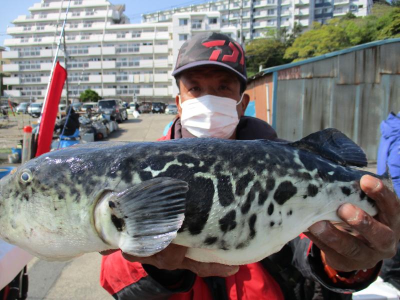 とらふぐ釣り2枚目