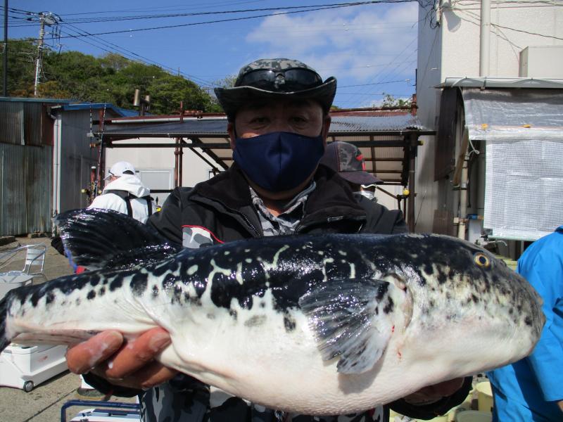とらふぐ釣り3枚目