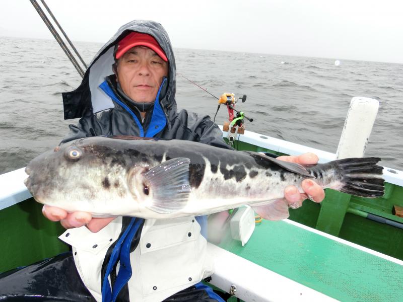 とらふぐ釣り2枚目