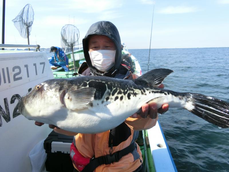 とらふぐ釣り1枚目