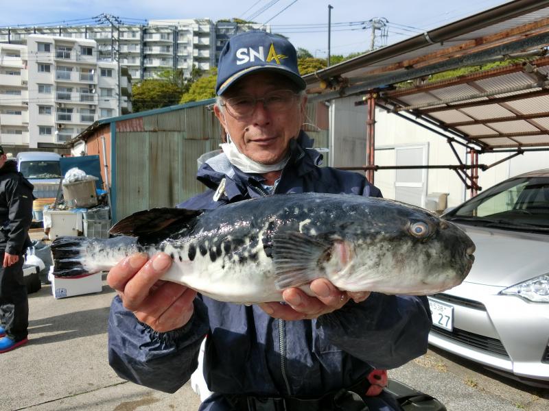 とらふぐ釣り3枚目