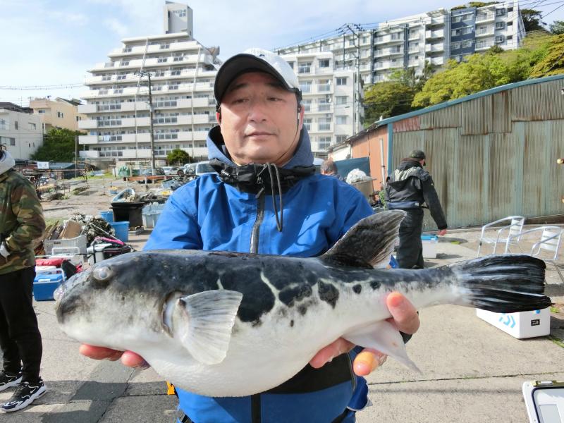 とらふぐ釣り4枚目