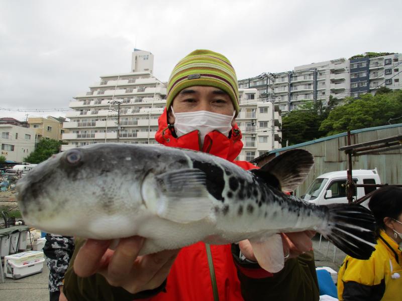 とらふぐ釣り2枚目