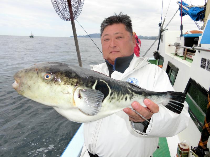 とらふぐ釣り 釣り船 鴨居大室 一郎丸 東京湾 神奈川県 横須賀 三浦
