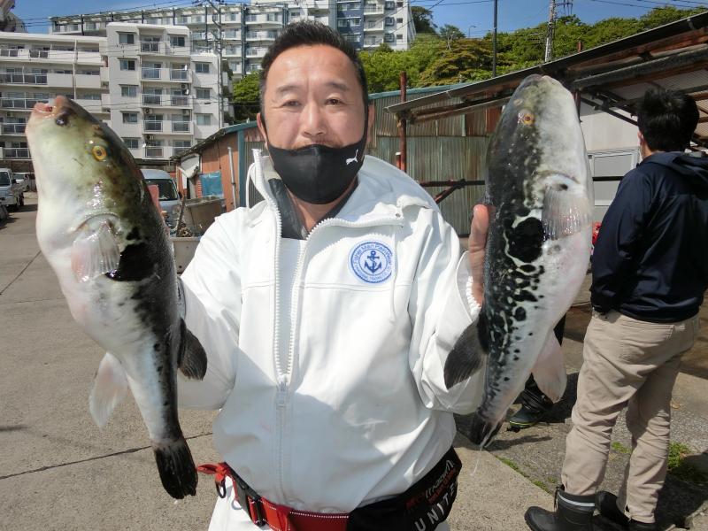 とらふぐ釣り1枚目
