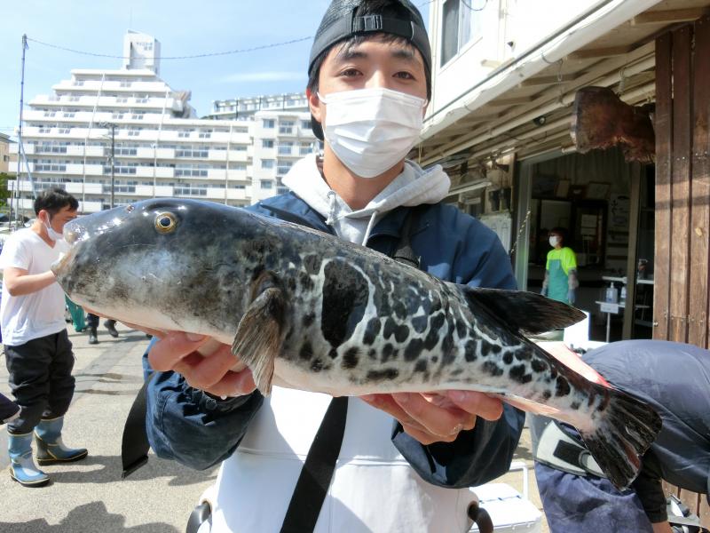 とらふぐ釣り2枚目