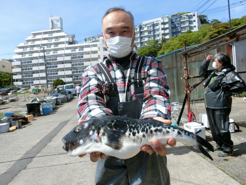 とらふぐ釣り3枚目