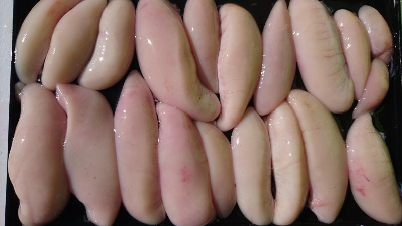 ふぐ釣り好調です！！2枚目