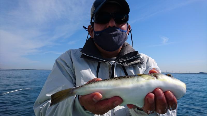 ふぐ釣り好調です！！3枚目