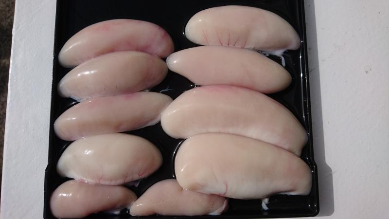 ふぐ釣り4枚目