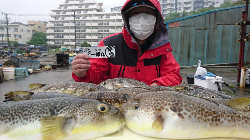 ふぐ釣り好調です！！1枚目