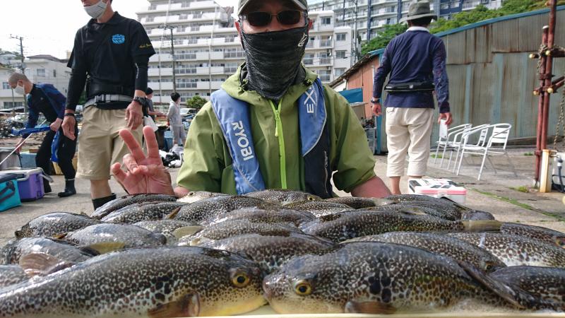 ふぐ釣り大漁です！！1枚目