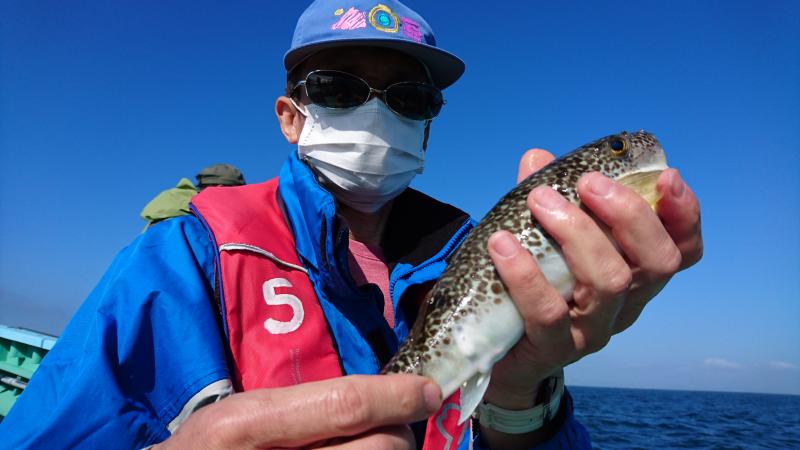 ふぐ釣り大漁です！！3枚目