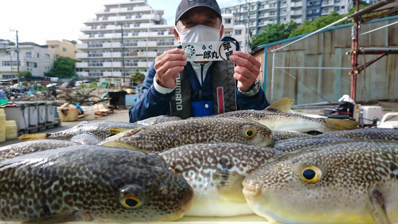 ふぐ釣り好調です！！1枚目