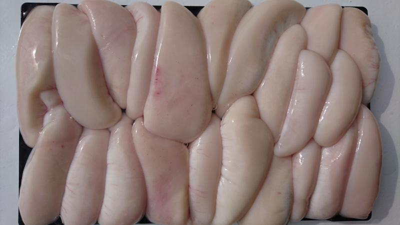 ふぐ釣り好調です！！2枚目