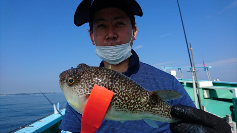 ふぐ釣り好調です！！5枚目