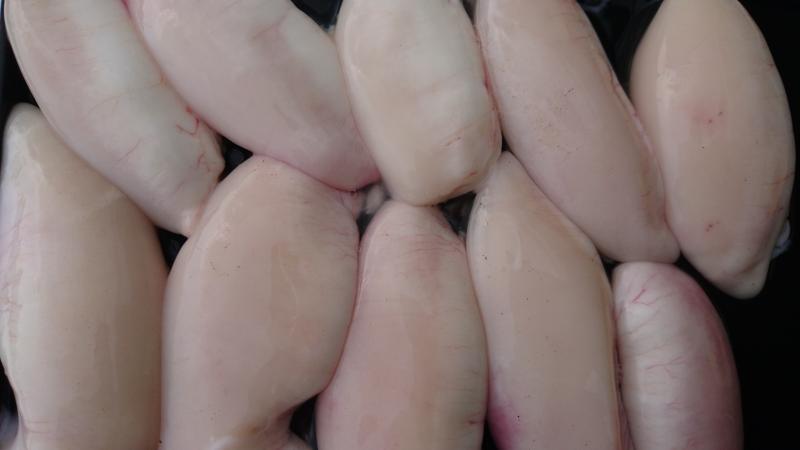 ふぐ釣り2枚目