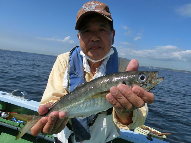 タチウオ・アジリレー4枚目