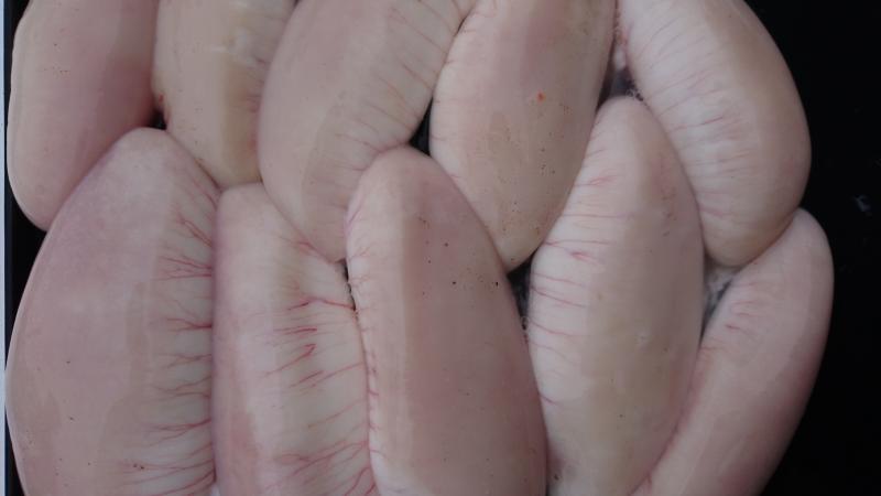ふぐ釣り2枚目