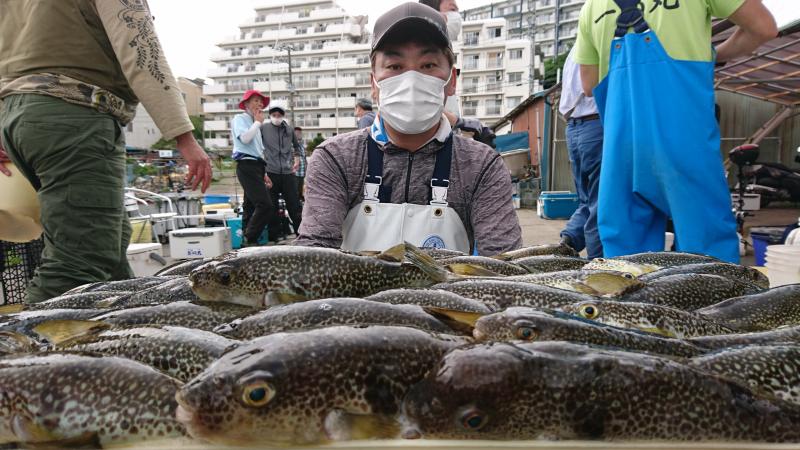 ふぐ釣り好調です！！1枚目