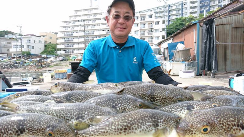 ふぐ釣り好調です！！1枚目
