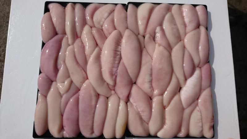 ふぐ釣り好調です！！2枚目