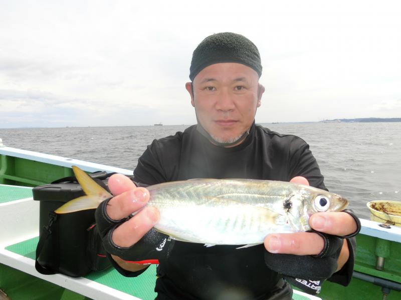 タチウオ・アジリレー3枚目