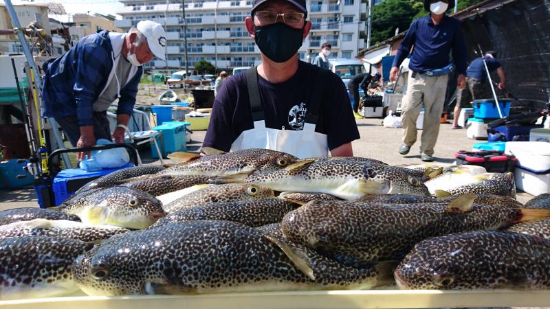 ふぐ釣り好調です！！1枚目