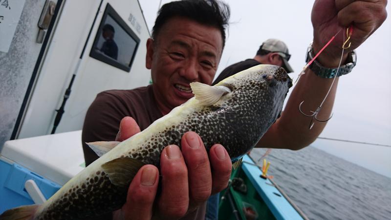 ふぐ釣り好調です！！3枚目