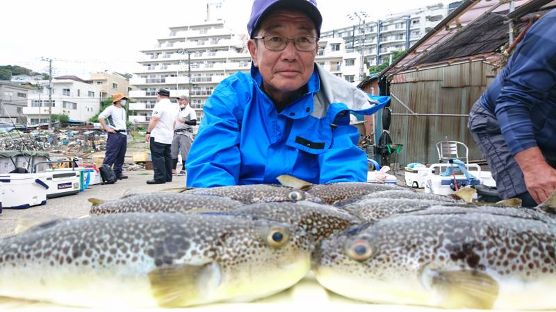ふぐ釣り好調です！！2枚目