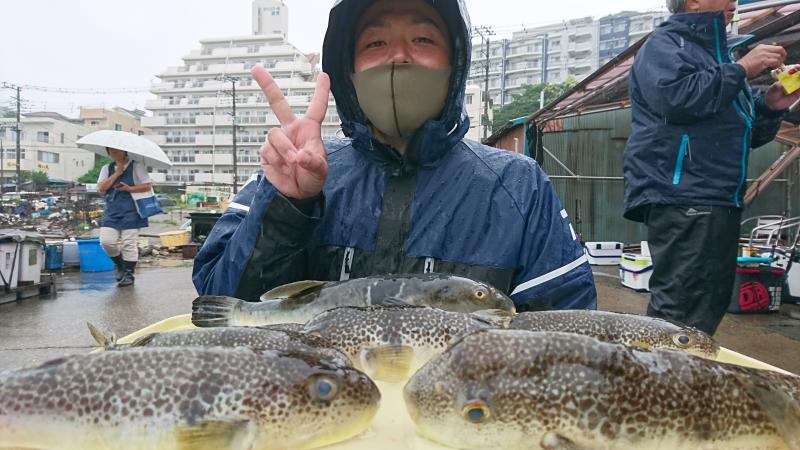 ふぐ釣り好調です！！1枚目